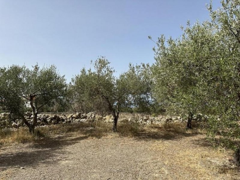 Arkadi Kreta, Asteri: Grundstück mit Meerblick zu verkaufen Grundstück kaufen